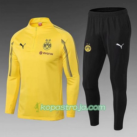 Borussia Dortmund Tränings Sweatshirtställ Gul 2018/19